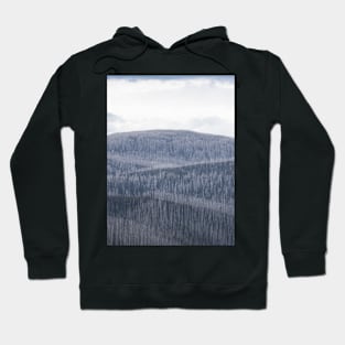 Marysville Foothills Hoodie